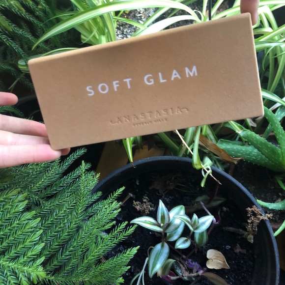 Anastasia Beverly Hills Soft Glam Eyeshadow - Picture 2 of 4